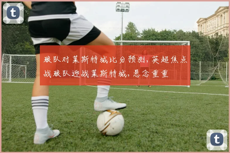 狼队对莱斯特城比分预测,英超焦点战狼队迎战莱斯特城,悬念重重